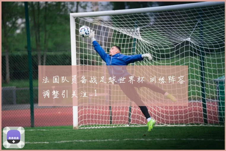 法国队员备战足球世界杯 训练阵容调整引关注_1