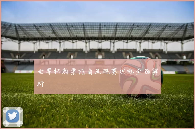 世界杯购票指南及观赛攻略全面解析